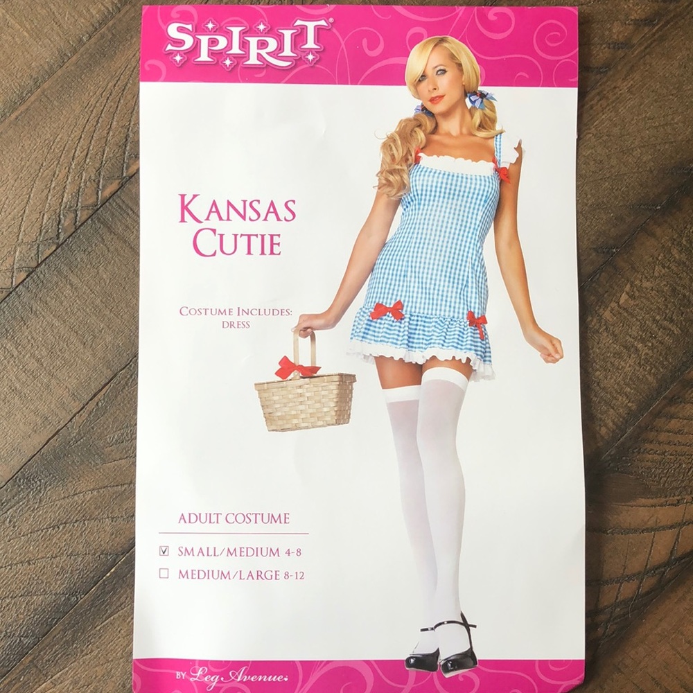 Leg Avenue Dorothy costume dress